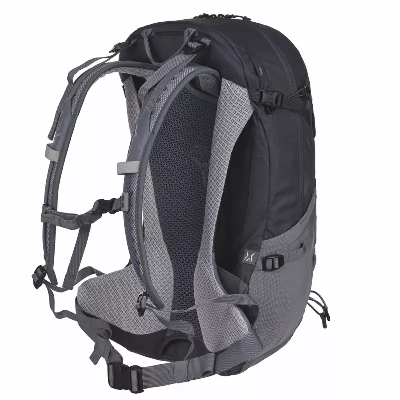 Rugzak Deuter Futura 21 L grijs