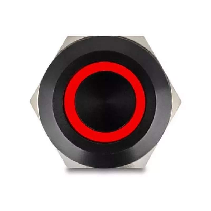 Paneel-drukknop DELOCK 22015 22 mm, 12 V, 5 soldeeraansluitingen