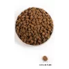 ORIJEN Regional Rood - droogvoer voor honden - 6 kg