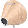 Nasa WSP1700 hout weerstation/luidspreker BT Schip