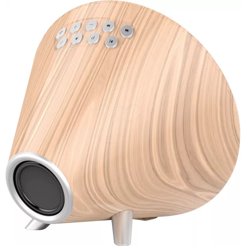 Nasa WSP1700 hout weerstation/luidspreker BT Schip
