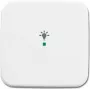 Busch-Jaeger 6220-0-0080 afdekplaat voor sensorhouder & -doos wit (2CKA006220A0080)
