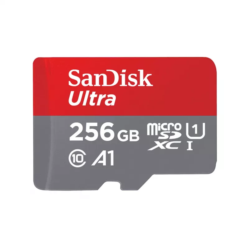 Flashgeheugen SanDisk 256 GB MicroSDXC UHS-I SDSQUNR-256G-GN6TA