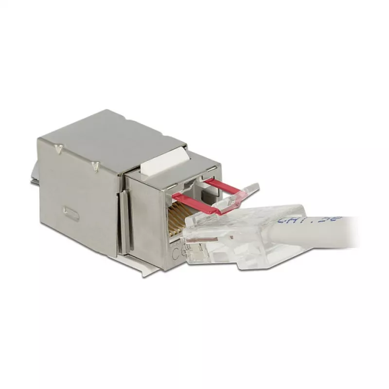 Delock 86404 Keystone-module RJ45 Secure Cat.6 naar LSA, wit