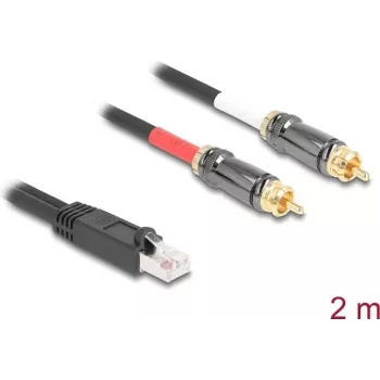 DeLOCK audiokabel 2 m RJ-45 2 x RCA zwart 88171