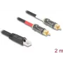 DeLOCK audiokabel 2 m RJ-45 2 x RCA zwart 88171