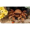 LEGO ICONS 10366 Tropisch aquarium