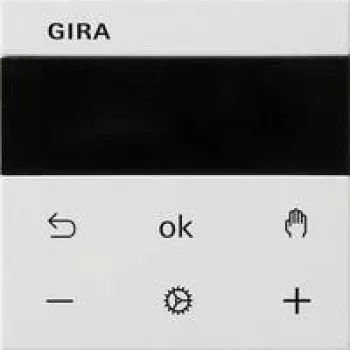 Gira 539327 display