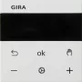 Gira 539327 display