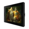 Huion Kamvas Pro 13 GT133 grafisch tablet