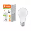 Ledvance LEDV LED-lamp 8,5-60W/827 806lm E27 mat 200° 15000hEEK F