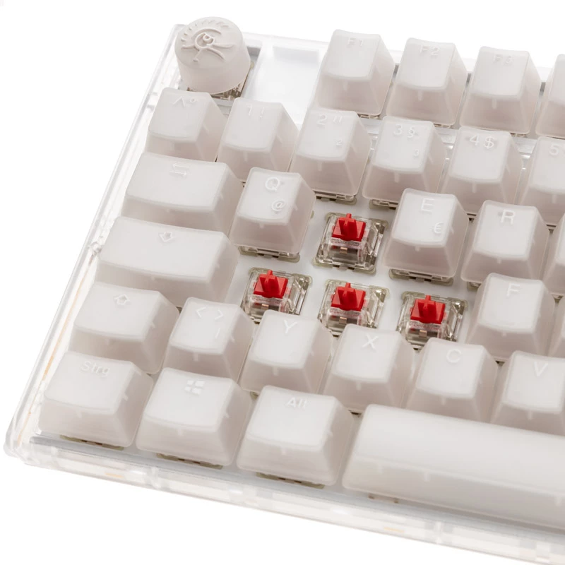 Ducky One 3 RGB toetsenbord, gaming, USB, QWERTY, US English, wit