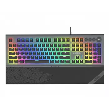 iBox Aurora K-5 toetsenbord USB QWERTY zilver