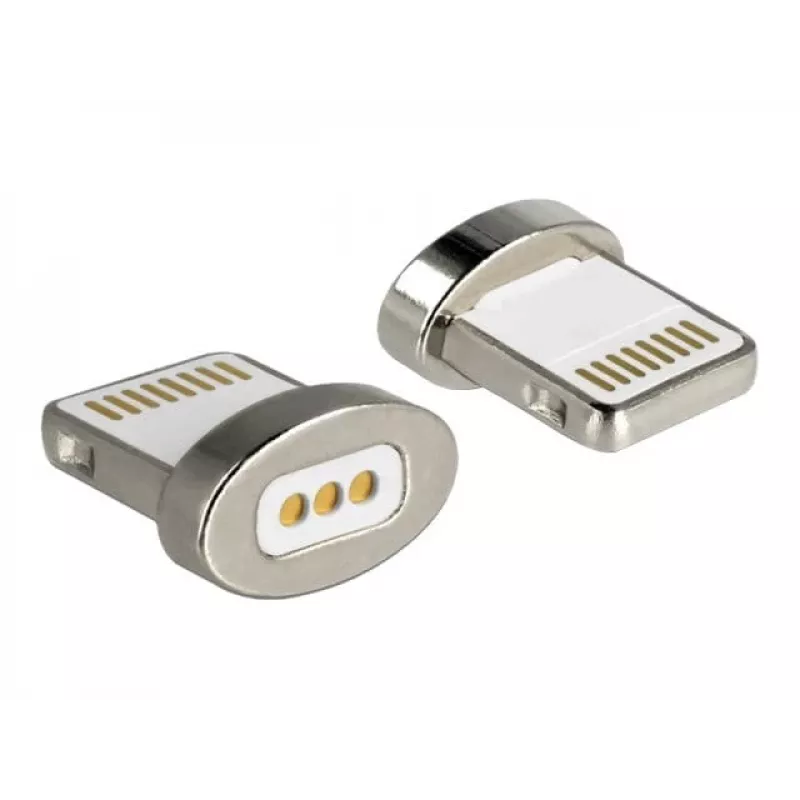 DeLOCK - Lightning-adapter - magnetisch naar Lightning (M) - voor Apple iPad/iPhone/iPod (Lightning) (65928)