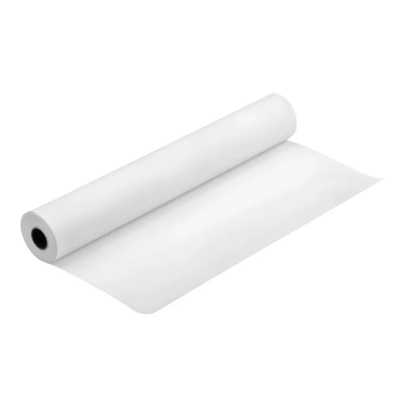 Epson Production Canvas Matte, 610 mm x 12,2 m, 12,2 m, 61 cm, 61 cm (24 inch), mat, 320 g/m²