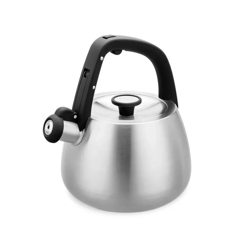 Fluitketel Maestro MR-1318 2,5 l, zilver, zwart
