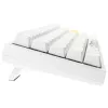 Ducky One 2 Mini Pure White RGB toetsenbord gaming USB US-Engels