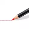 Kleurpotloden Staedtler 149C C24