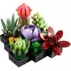 Lego Icons 10309 vetplanten