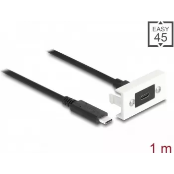 DeLOCK Easy 45 module SuperSpeed USB 10 Gbps USB Type-C bus naar stekker 1m
