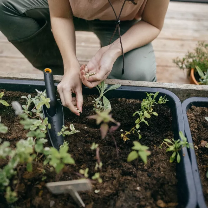 Massieve smalle schep 1072101
