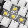Sharkoon SGK50 S4 toetsenbord Home USB QWERTZ Duits wit RGB LED 60%