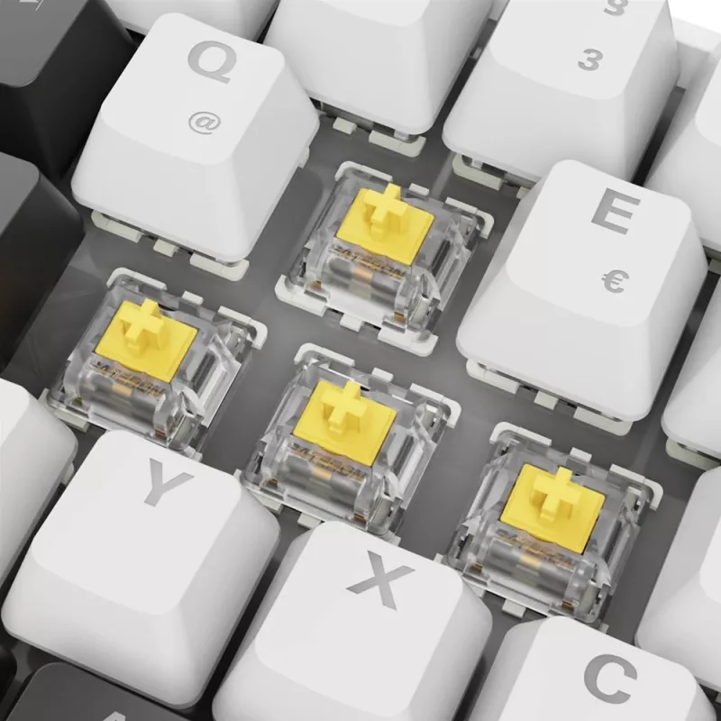 Sharkoon SGK50 S4 toetsenbord Home USB QWERTZ Duits wit RGB LED 60%