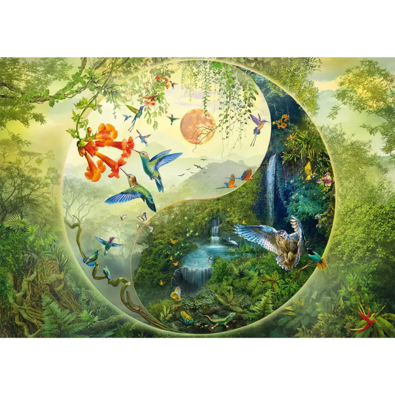 Puzzel 1000 stukjes, schmidt spiele Silvia Christoph — Yin & Yang in het bos van kolibries