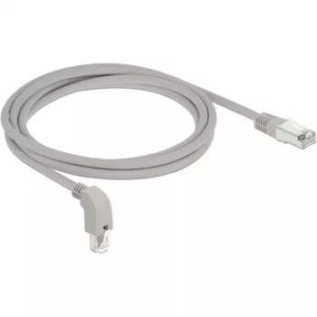 Netwerkkabel DeLOCK 85875 2m Cat6a S/FTP grijs