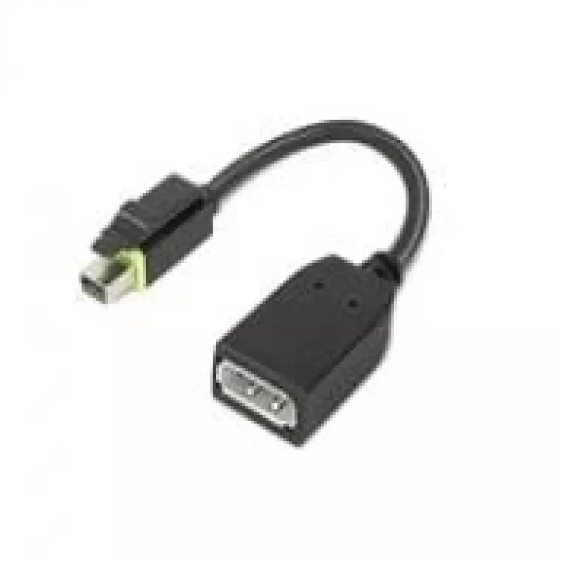 Lenovo 4X90Q93975 videokabel-adapter Mini DisplayPort DisplayPort zwart