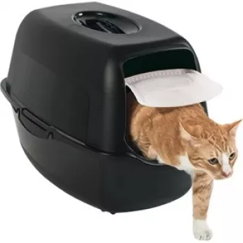 Kattenbak met kap Rotho Bailey Cat zwart 560×400×390 mm, koolstoffilter, klapdeur, handgreep