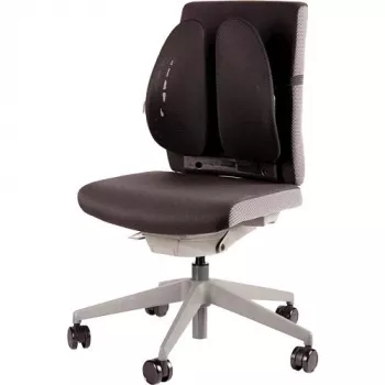 STOELRUGSTEUN/BACK ANGEL 8026401 FELLOWES