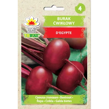 Egyptische rode biet D'Egypte Toraf groentezaden, 10g-pakket