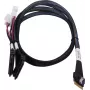 SAS-kabel ADAPTEC Microchip Technology 2305500-R SlimSAS ×8 naar 2×2SFF-8639 U.2, 0,8 m, zwart