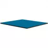 Thermal Grizzly Minus Pad Advance – 100 x 100 x 1,5 mm, 2 stuks