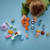 LEGO BLUEY 10458 IJscrème-uitje met Bluey