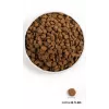 ORIJEN Dog Original - droogvoer voor honden - 2 kg