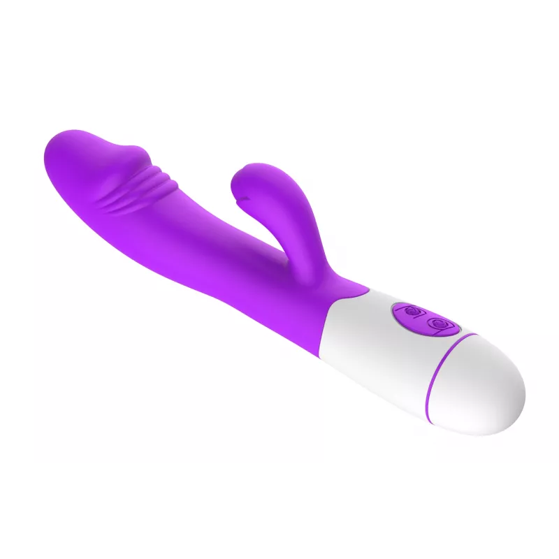 Vibrator Erolab Silicone paars