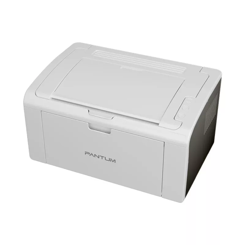 Printer Pantum P2509W laser wit