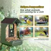 EASYPIX Bird Camera Easypix Bird Cam 10123 1080p HD nachtzicht