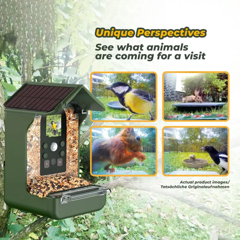 EASYPIX Bird Camera Easypix Bird Cam 10123 1080p HD nachtzicht