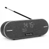 Draagbare radio TechniSat DIGITRADIO BT 2 DAB+ FM 20W