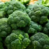 PNOS broccoli Caesar groentezaden, 2 g