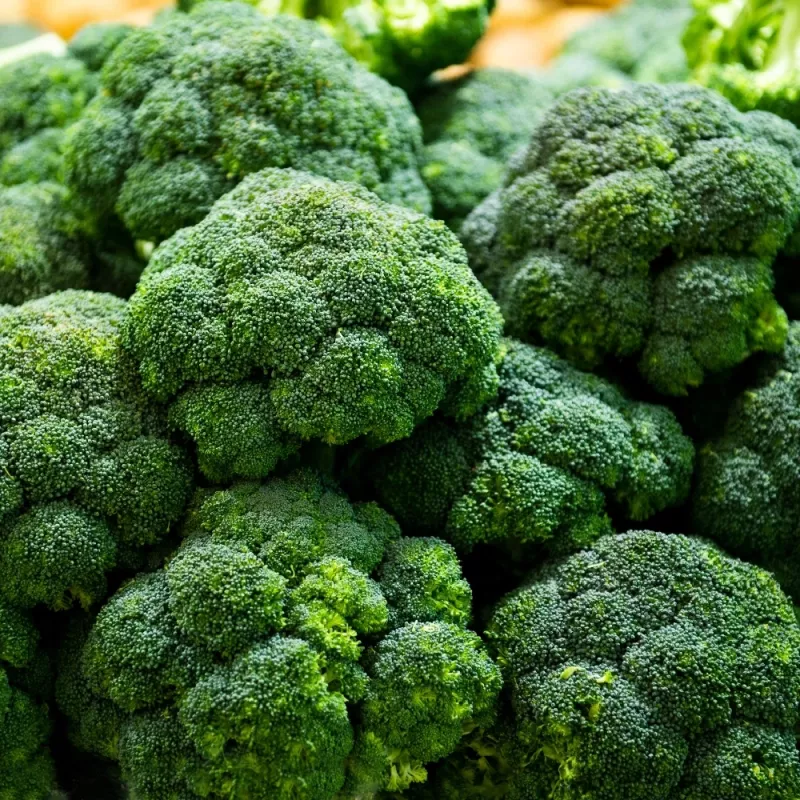 PNOS broccoli Caesar groentezaden, 2 g