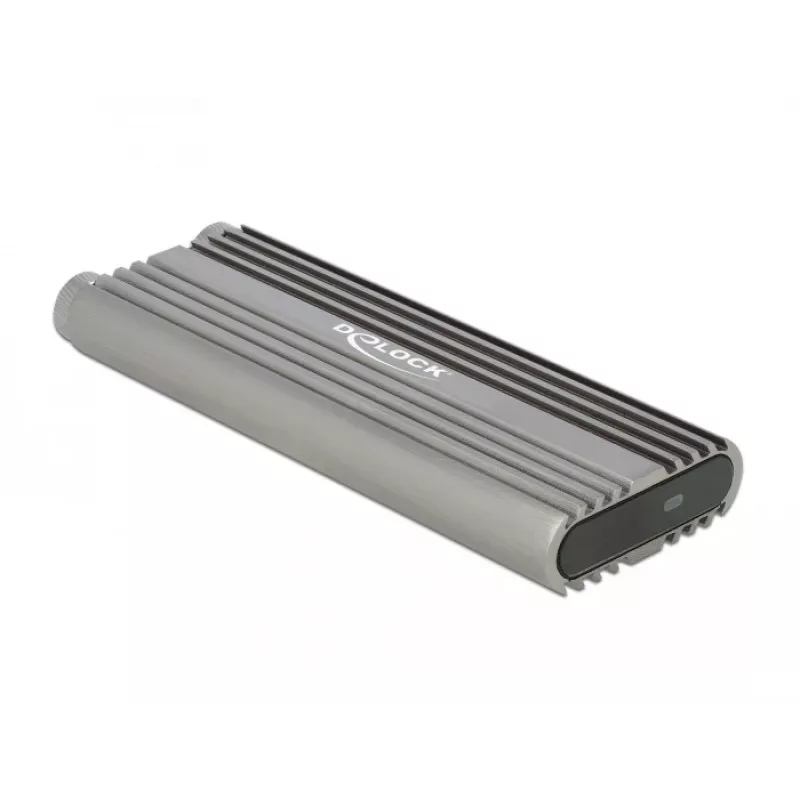 SSD-behuizing DeLOCK 42001 zilver M.2