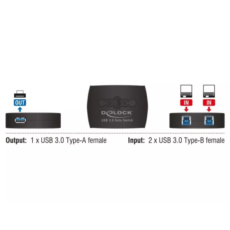 Dataswitch DeLOCK 87723
