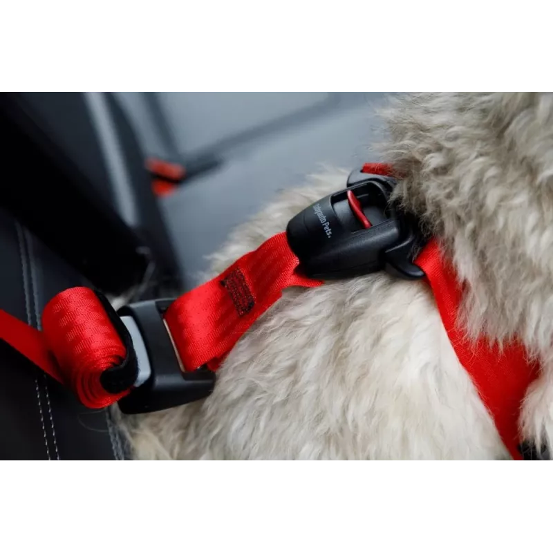 Hondentuig ZOLUX TRAVEL SAFE M, maat M, rood