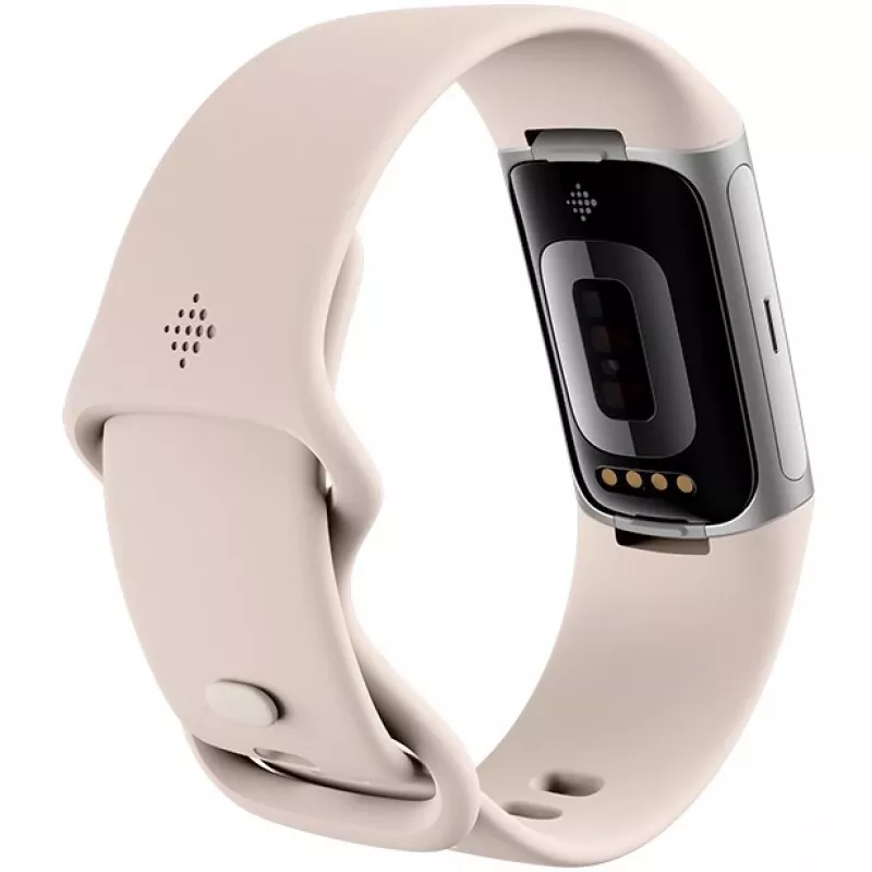 Fitbit GA05185-EU Product zilver