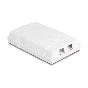 DeLOCK glasvezel-aansluitdoos 2 x SC simplex LC duplex wit