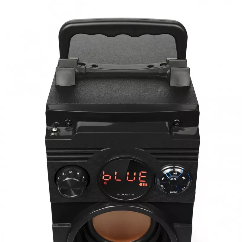 Squeak Bassblaster Bluetooth 5.1 luidspreker, FM-radio, MP3-speler SQ1001